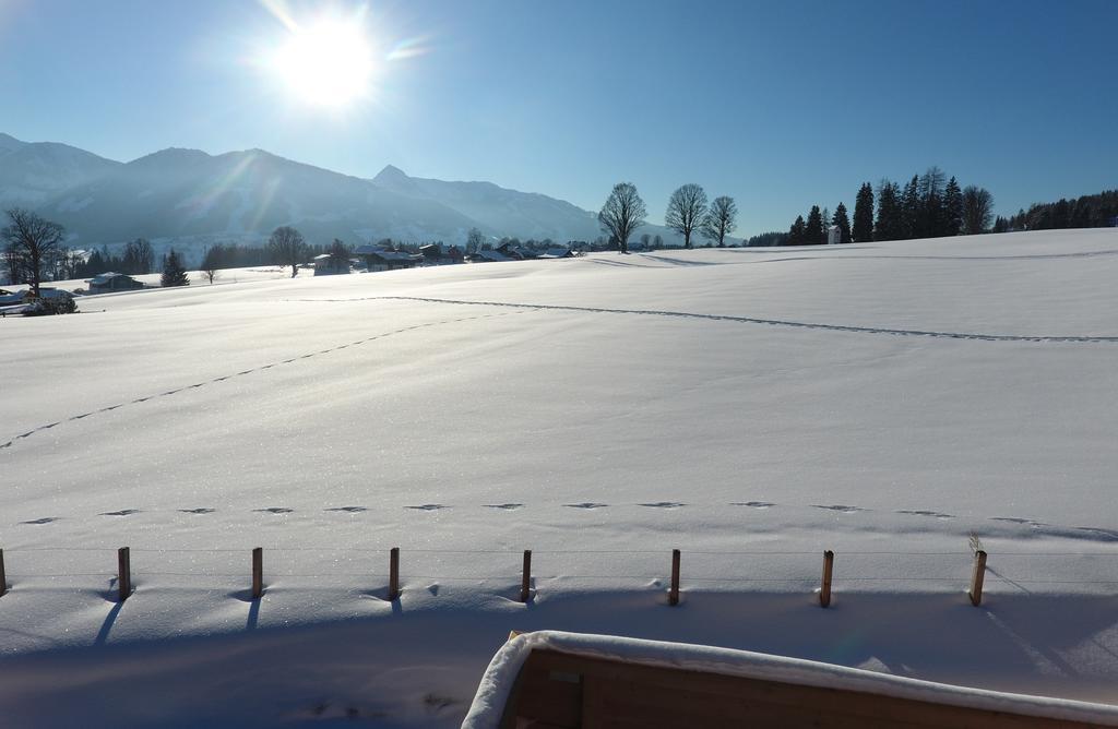 Chalet Findeisen Ramsau am Dachstein Luaran gambar